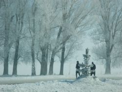 Erzurum'dan tablo görüntüsü